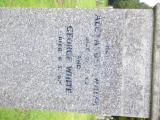 image of grave number 614103